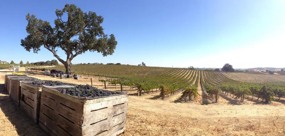 Doce Robles Winery & Vineyard